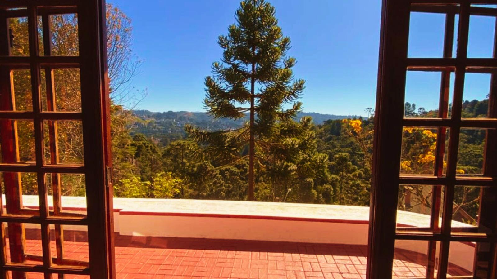 Varanda com vista da araucária